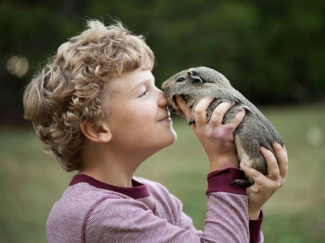 Biscuits party pour les petits animaux en famille