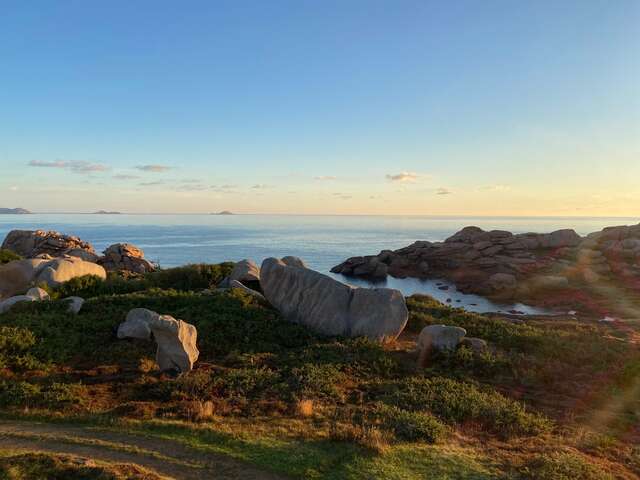 Balade nature : granit rose et biodiversité