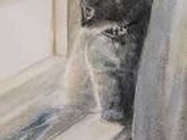 Stages d'aquarelle