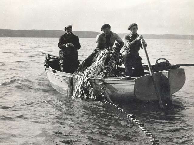 La pêche à la sardine à Locquémeau