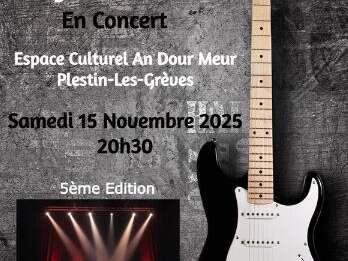 Trégor Blues Big Band