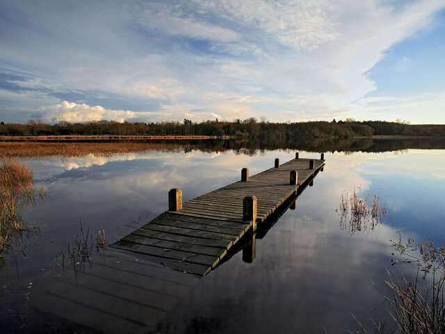 Journée mondiale des zones humides - Etrange rencontre au bord de l'eau