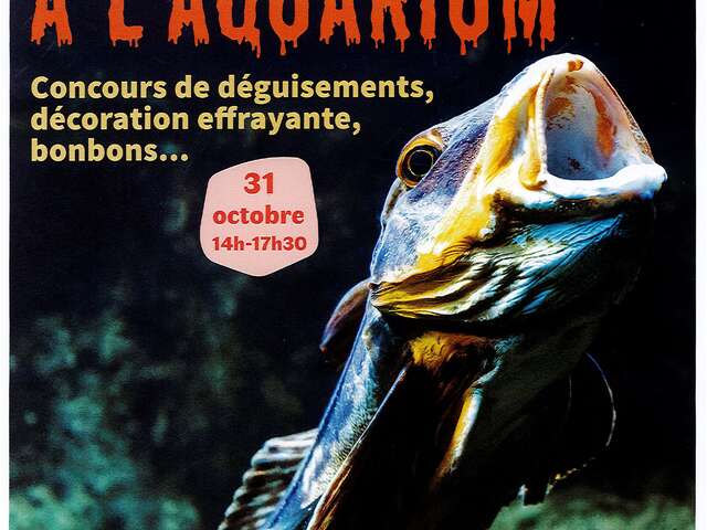 Halloween à l'Aquarium