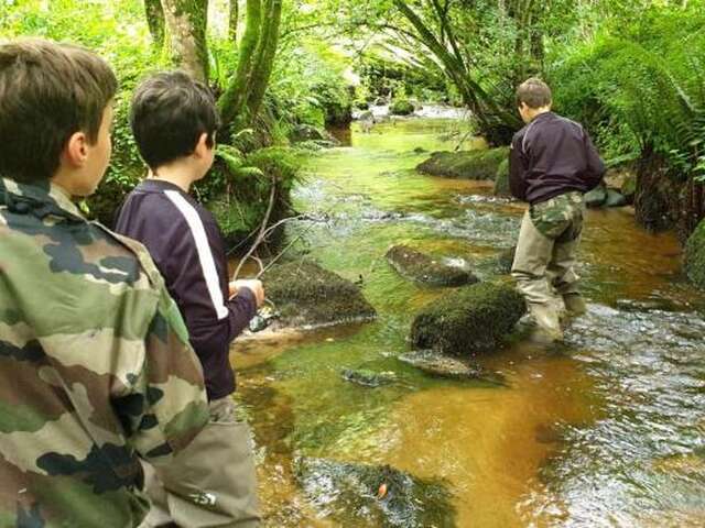 Initiation de pêche aux leurres et vie de la rivière