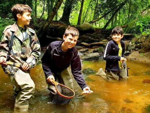 Initiation de pêche aux leurres et vie de la rivière