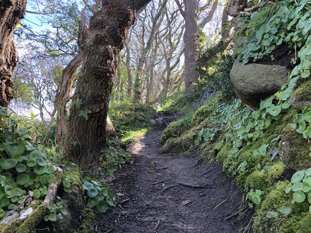 En famille on peut explorer Goas Lagorn en anglais!