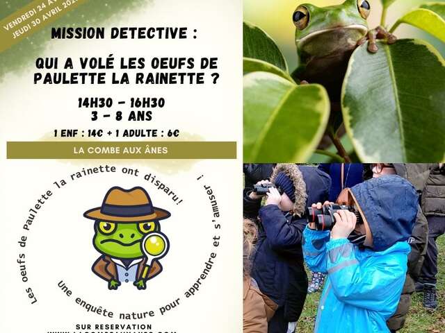 Qui a volé les œufs de Paulette la rainette ?