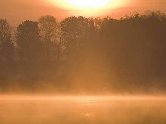 Etang de Beffou