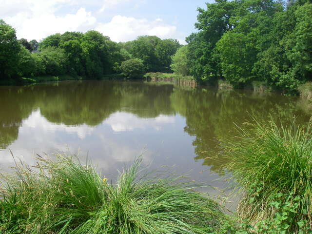 Parcours pêche de l'étang de Milin Saezh