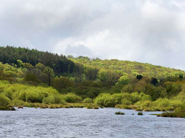 Etangs du Guic