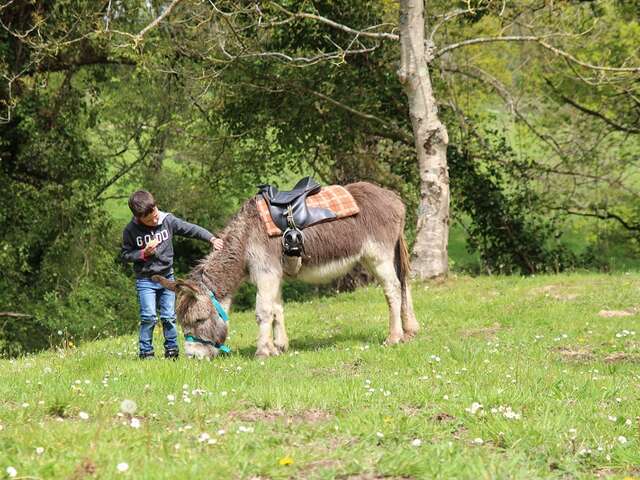 Avec mon âne, je pars planter mon pommier