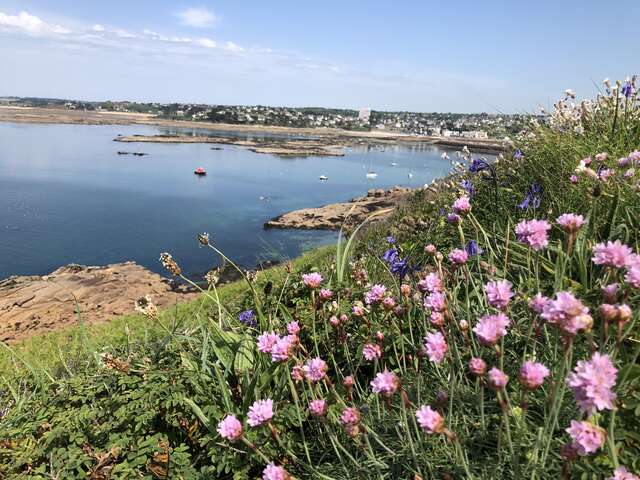 Ile Milliau - Découverte et pique-nique en anglais