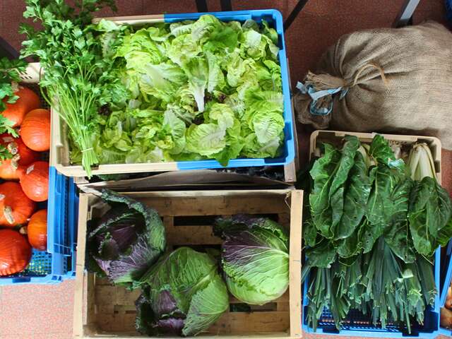 Ernährung gestern und heute & gemeinsames Essen