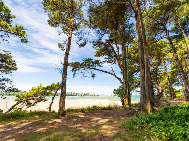 Boucle de Sainte Barbe