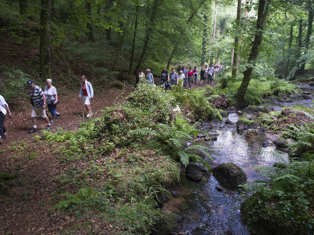 Au fil du Saint Ethurien