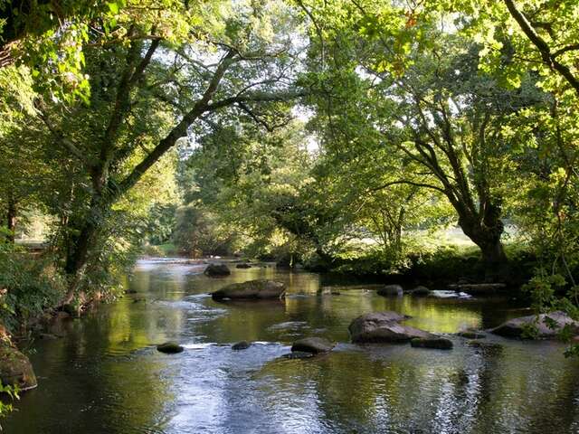 Vallée du Léguer - Rivière Sauvage