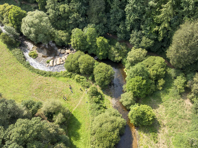 Le fabuleux destin du saumon atlantique