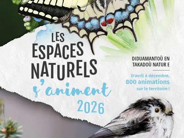 Paréidolies dans le granite