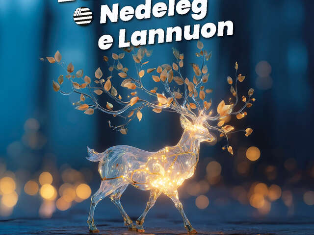 Le village de Noël à Lannion - Nedeleg e Lannuon