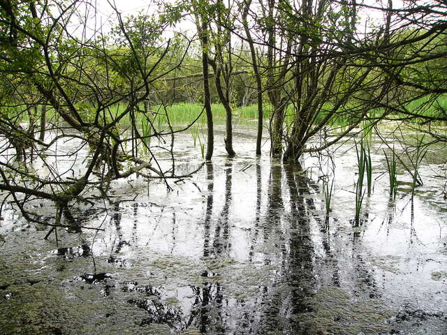Journée mondiale des zones humides - Kerouspic