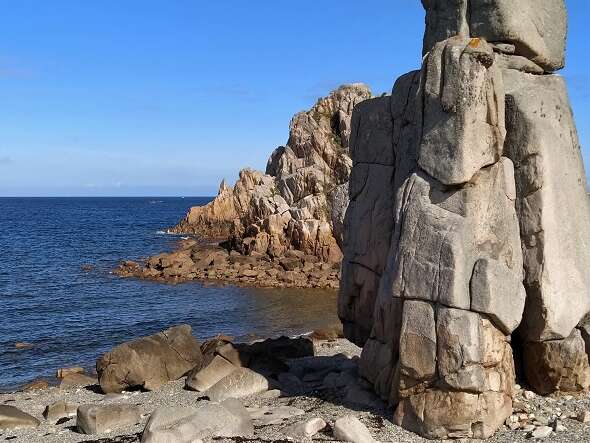 Plage et coquillages