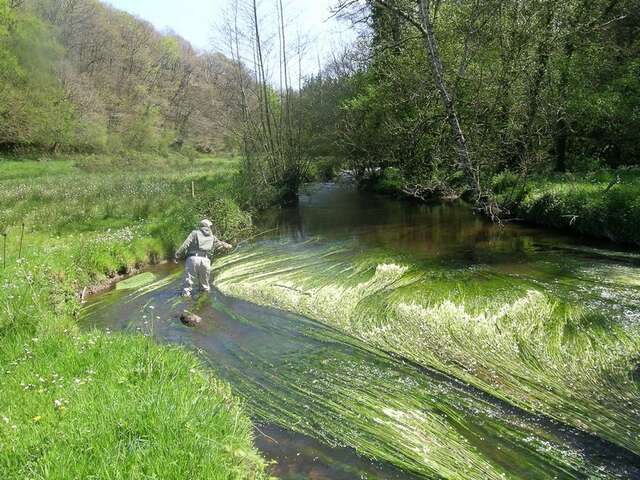 Parcours de pêche du Guic