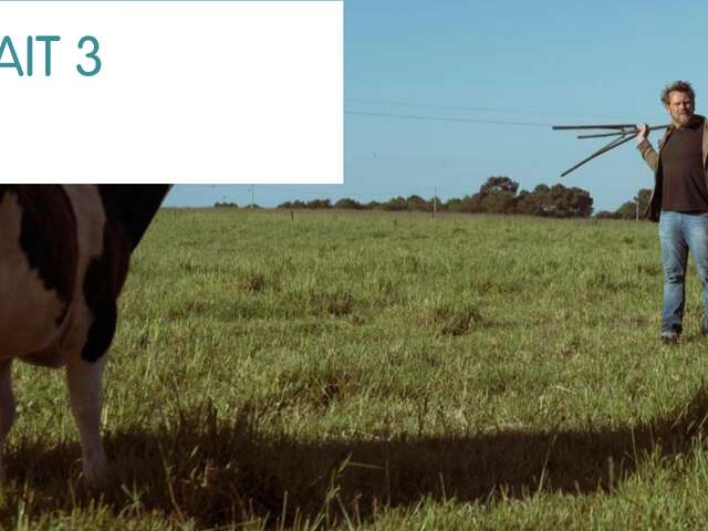 Mon père avait 3 vaches