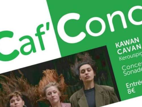 Les Mouches qui miaulent