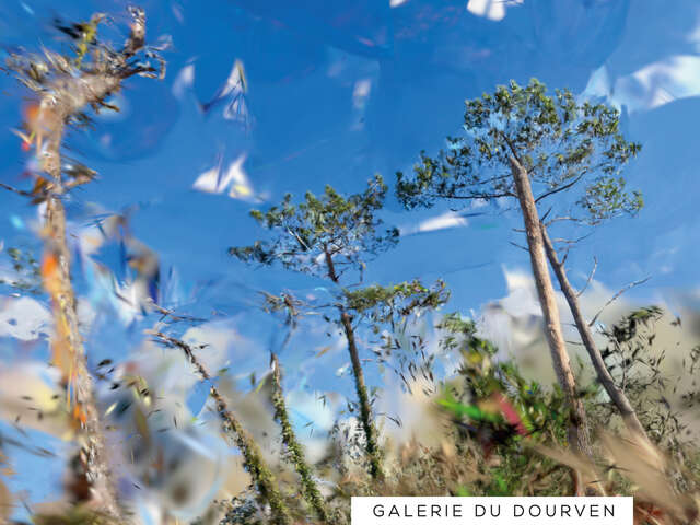 Seuil critique de Thomas Daveluy et Guillaume Lepoix