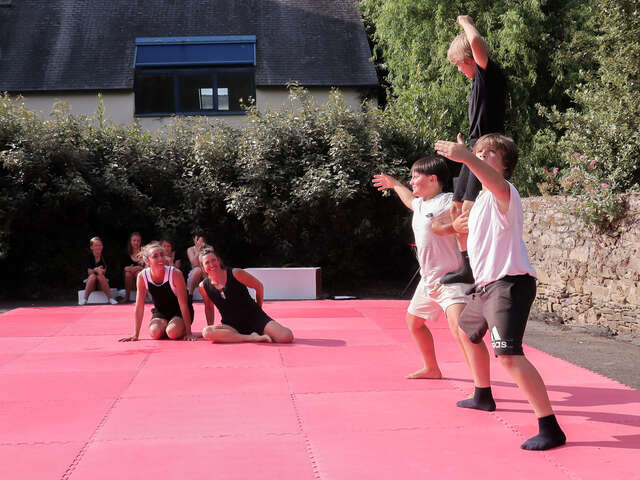 Stage de cirque