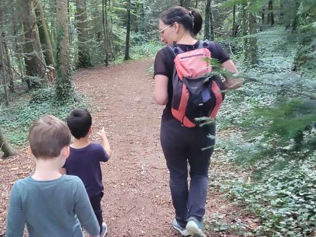 Les habitants de la forêt