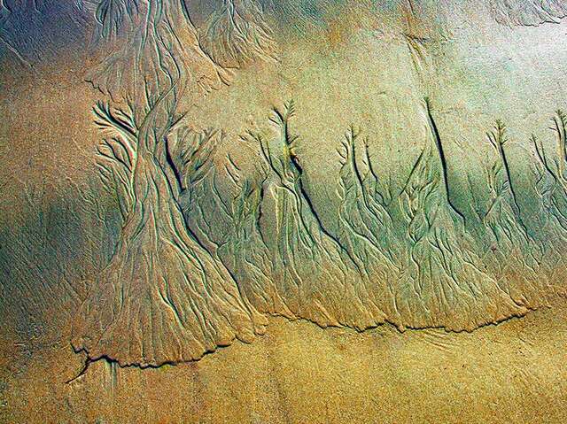 Photographies de Daniel Mell