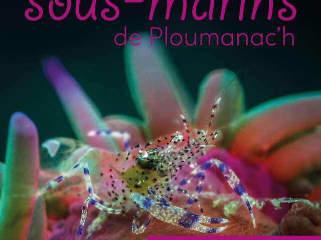Exposition photos : les secrets sous-marins de Ploumanac'h