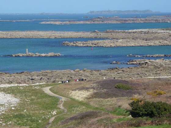 Le littoral sud de l'Ile Grande : les marais maritimes