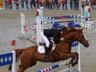 Concours Hippique Perros Jump
