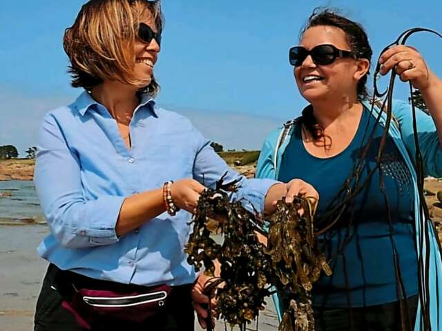 Cueillette et préparation aux algues