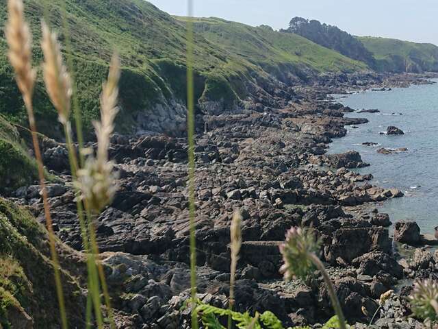 La nature des falaises de Trédrez