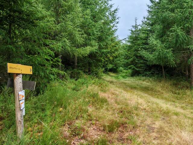 Circuit Pédestre N°52 : La Forêt de Chantegris