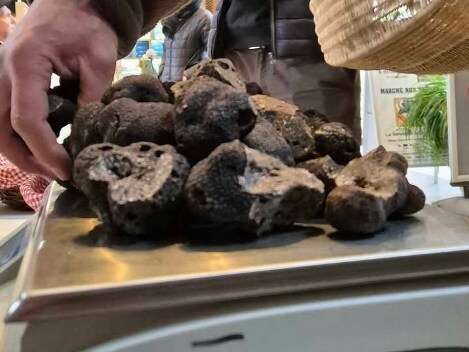 Marché contrôlé aux truffes