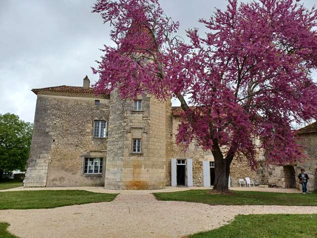 Été Actif - Escape Game - Manoir du Lau Allemans