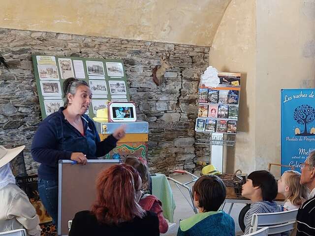 La ruche, les abeilles et l'apiculture - Château en fête