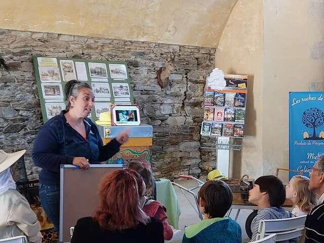 La ruche, les abeilles et l'apiculture - Château en fête