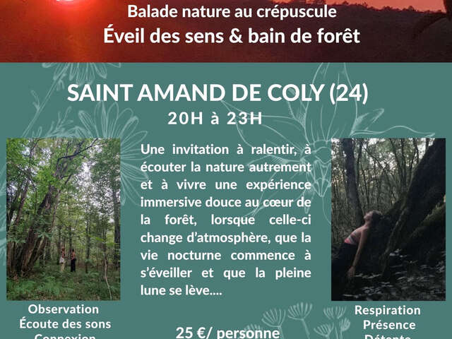 Balade nature au crépuscule
