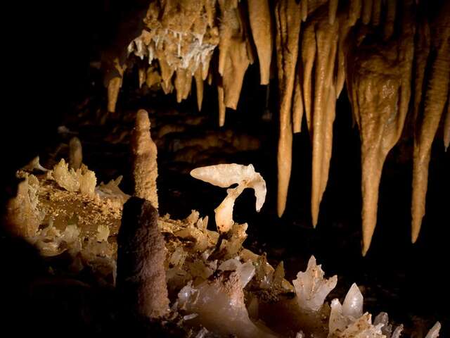 Journées européennes du patrimoine à la Grotte du Grand Roc