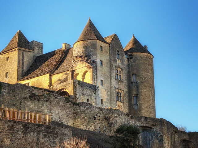Château de Salignac
