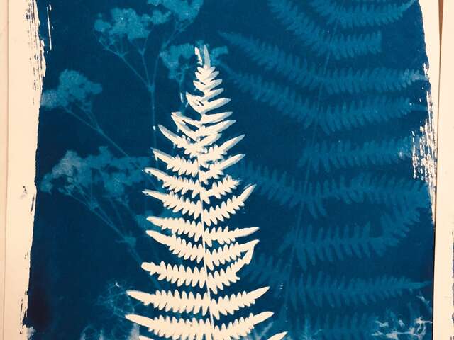 Atelier cyanotype sur papier