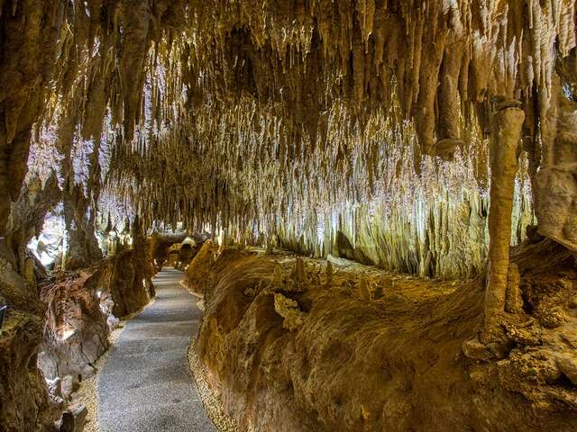 Grotte de Domme