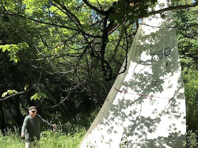 Promenade-découverte au jardin d'hélys-oeuvre