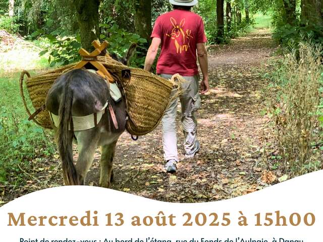 Balade découverte de l'âne