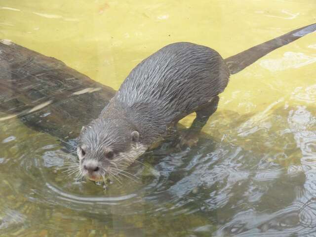 Les jardins animaliers Biotropica